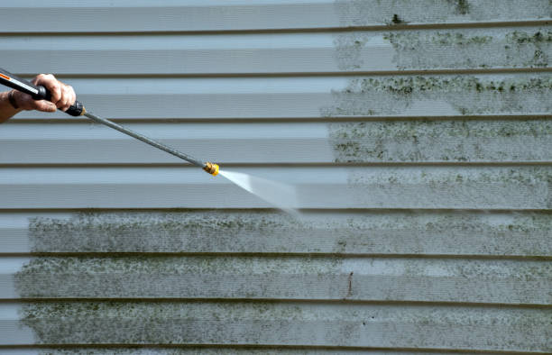 Mold Removal Process in Bountiful, UT
